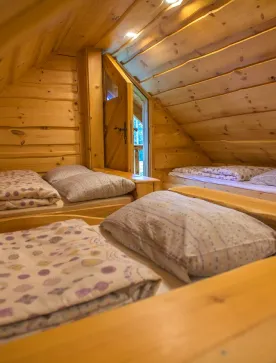 Primera imagen (Acerca de)